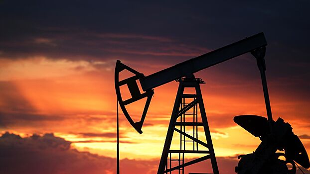 Пакистан получил первую партию нефти РФ для частной компании